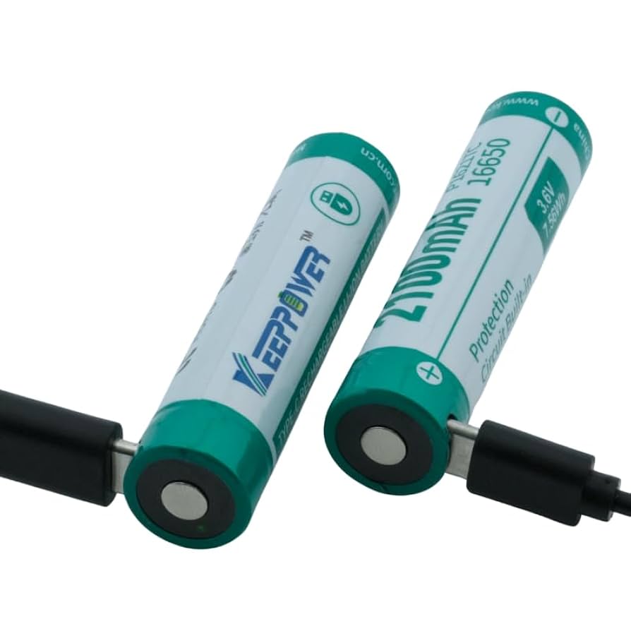 ha9100802ページ Amazon.com: Keeppower Protected 16650 Rechargeable Li-ion